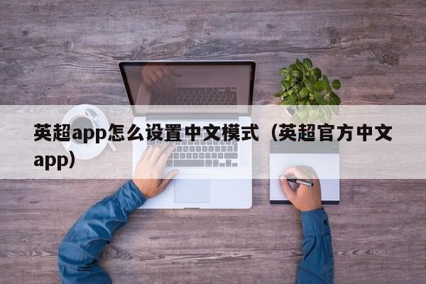 英超app怎么设置中文模式（英超官方中文app）